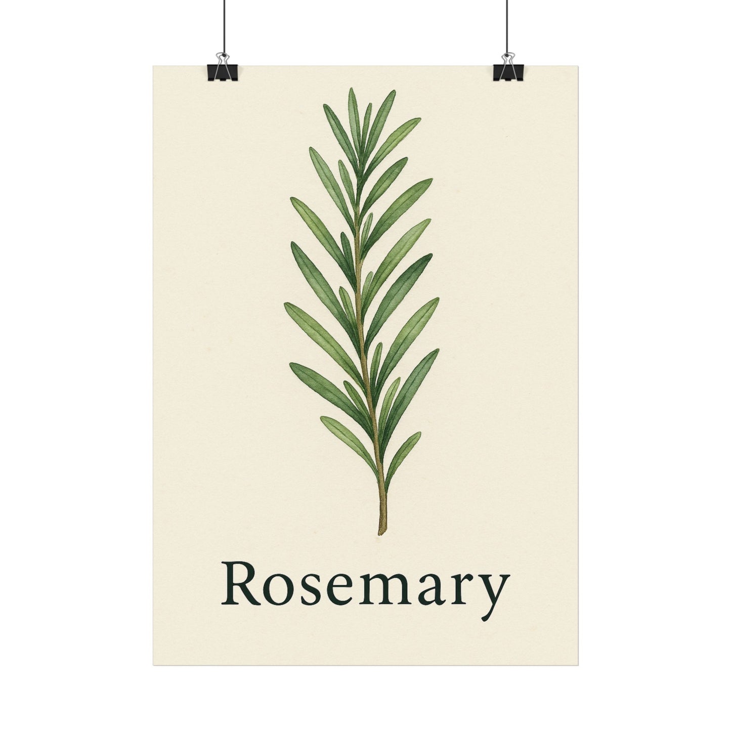 Wandbild für die Küche Rosmarin