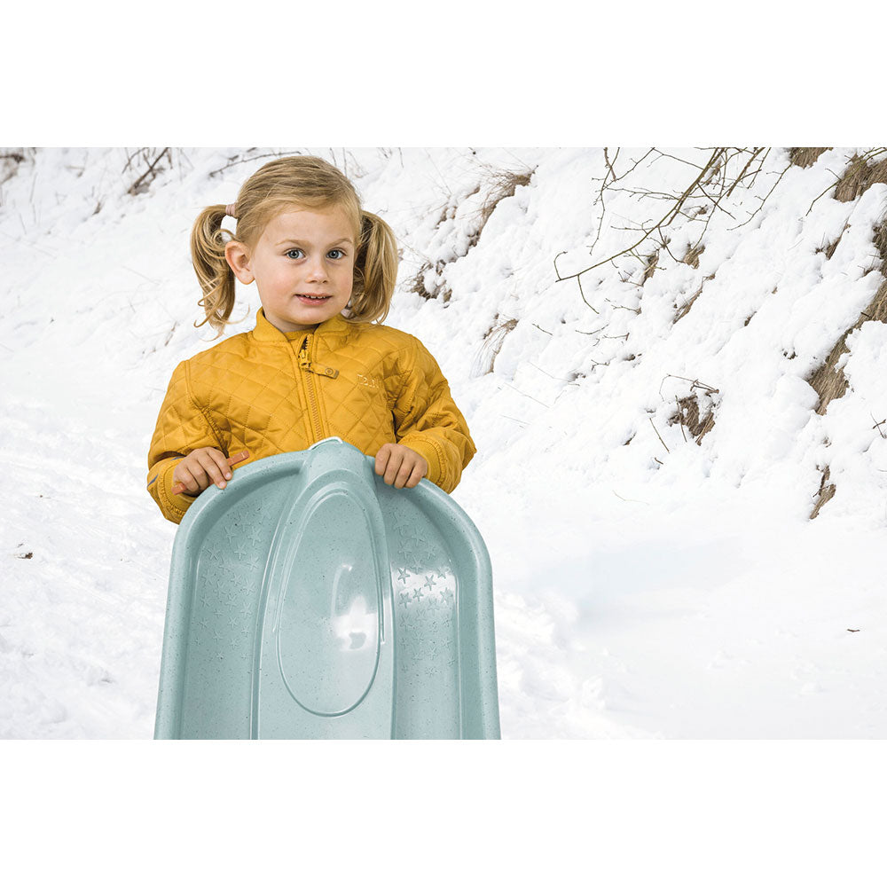 Dantoy Bio-Schlitten